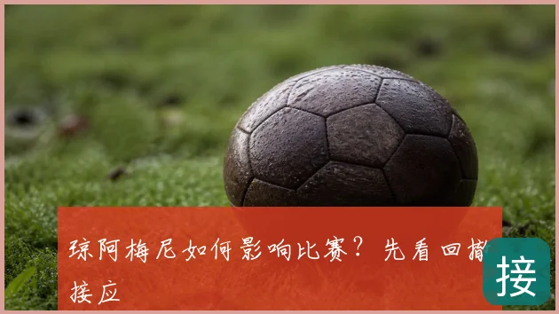琼阿梅尼如何影响比赛？先看回撤接应
